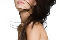 macadamia natural oil, hairdo, silver bullet