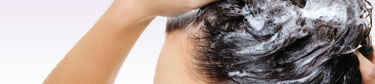 shampoo, macadamia oil shampoo, dax shampoo